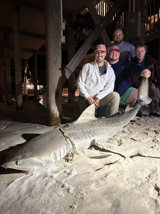 12hr LBSF Guide Dauphin Island $1300